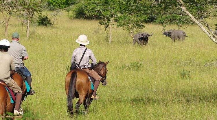 Horse riding trips in Uganda