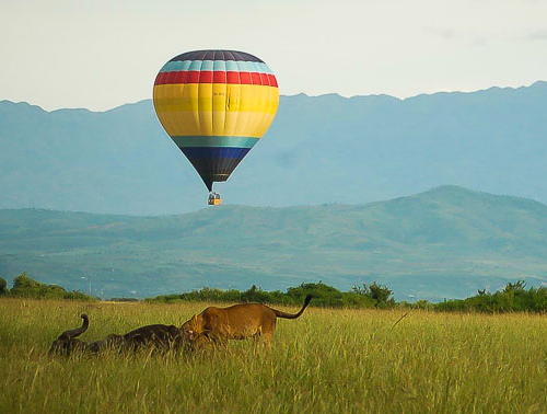 Wildlife sightings in Uganda