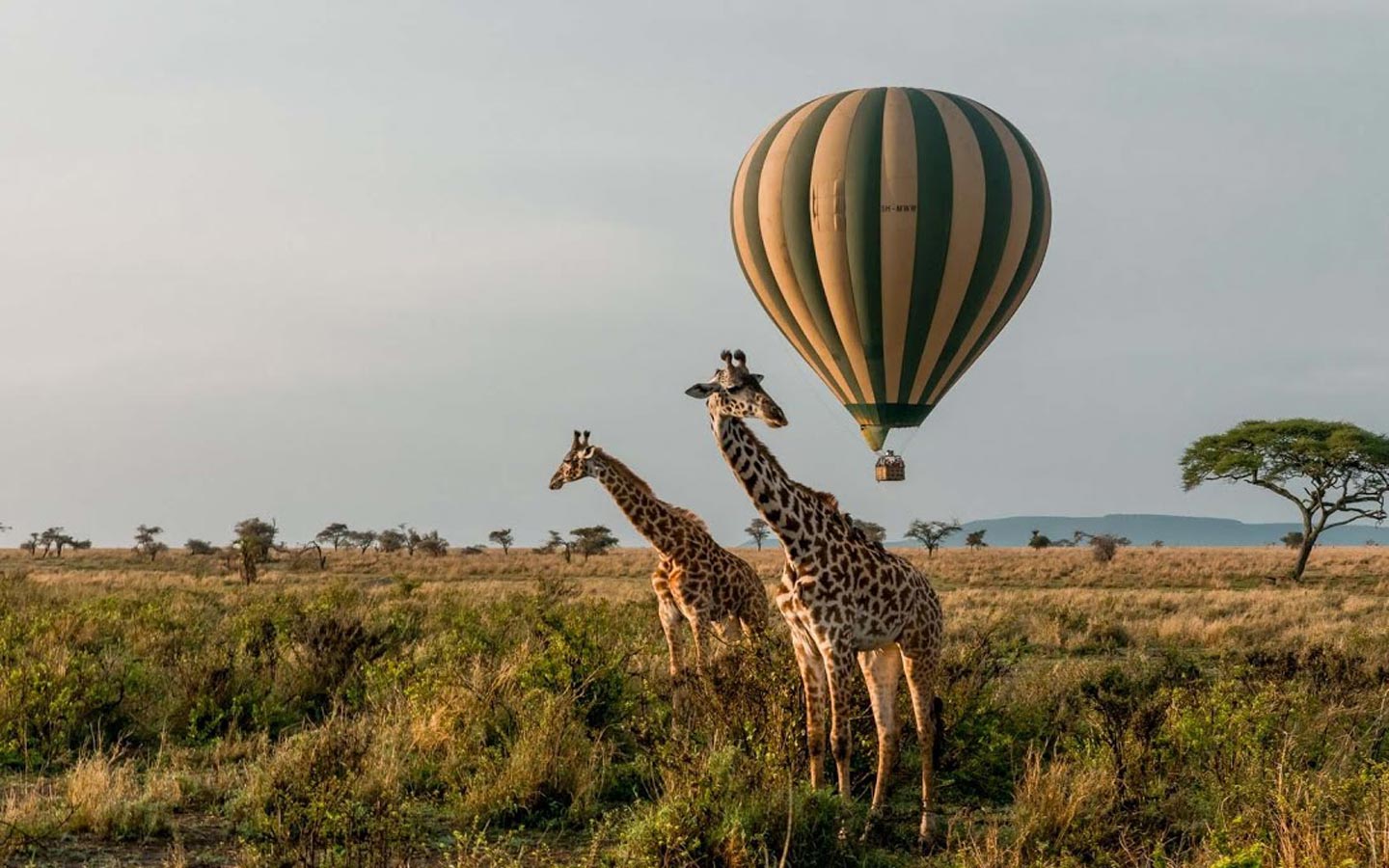 Hot air balloon safaris in Uganda