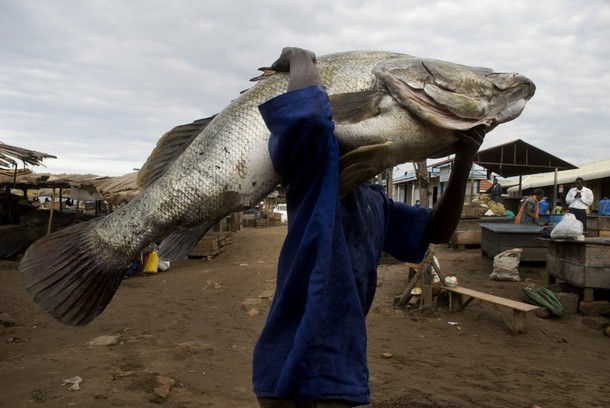 Sport Fishing Trips in Uganda