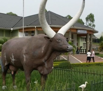 Day 11: Drive to Lake Mburo National Park.