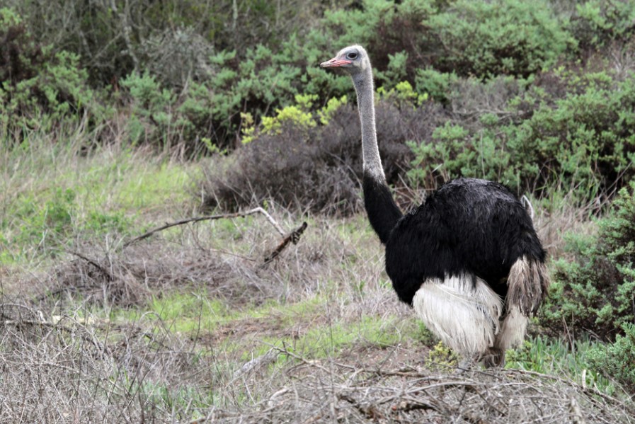 The Ten National Parks In Uganda