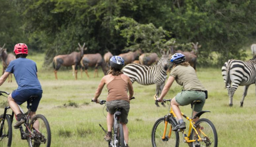 Uganda bike adventure safaris