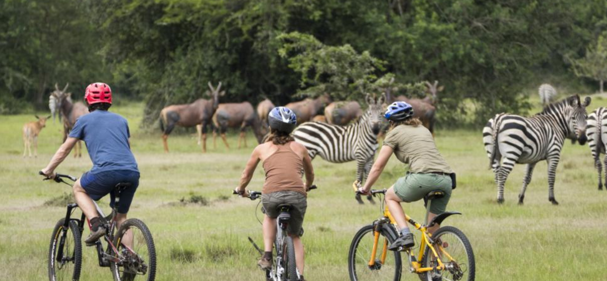 Uganda bike adventure safaris