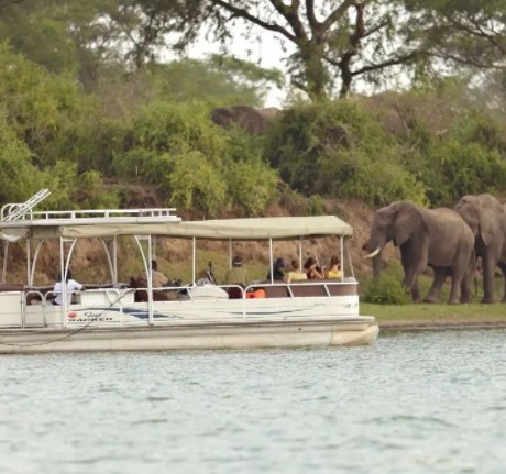 Day 4: Kazinga game drive followed by a boat cruise