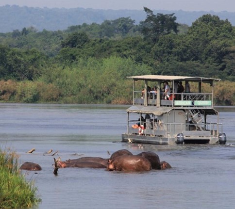 Day 3: Early morning game drive and afternoon boat cruise 