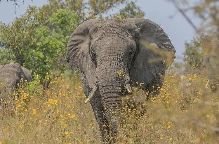 Day 2: Transfer from Kigali to Akagera National Park 