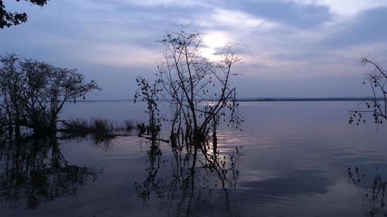 Day 2: transfer to Akagera National Park in the morning-afternoon Ihema boat cruise safari.