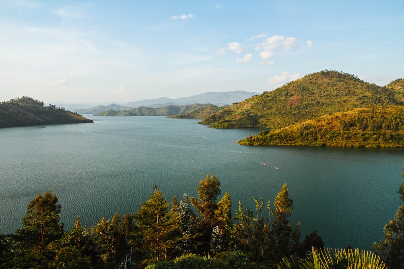 Drive from Volcanoes National Park to Lake Kivu on Day 5.