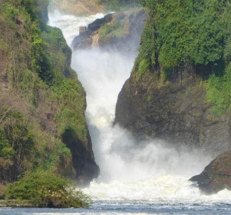 Day 4: Visit the top of the falls and drive to Kibale Forest National Park