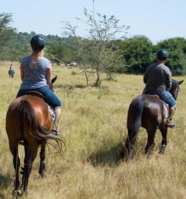 Day 14: Horse Back Riding transfer to Kampala