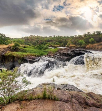 Day 7: Transfer to Murchison falls National Park (lunch en route)