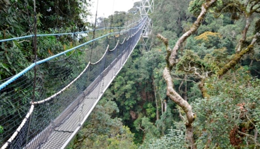 Rwanda Family travel