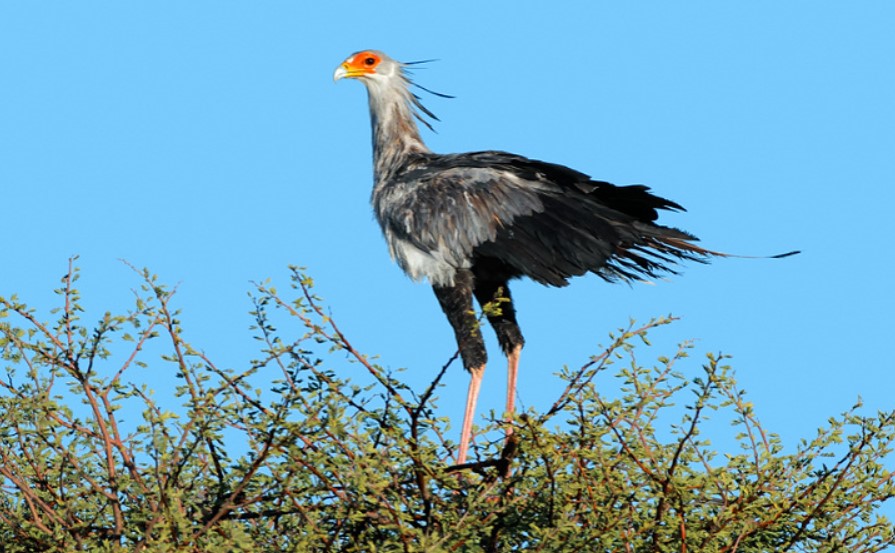 Gishwati-Mukura National Park