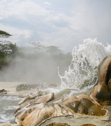 Day 11: Transfer to Semuliki National Park 