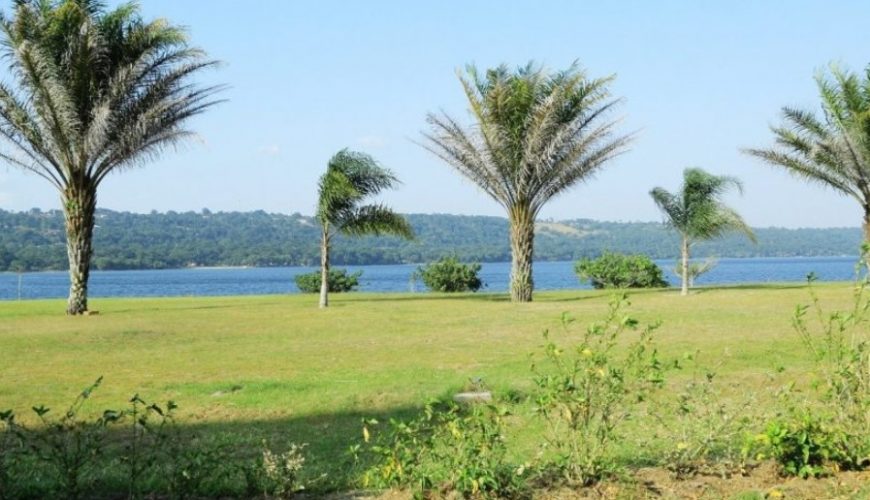Gorilla Tours | Birding In Uganda | Gorilla trekking | Uganda Safaris