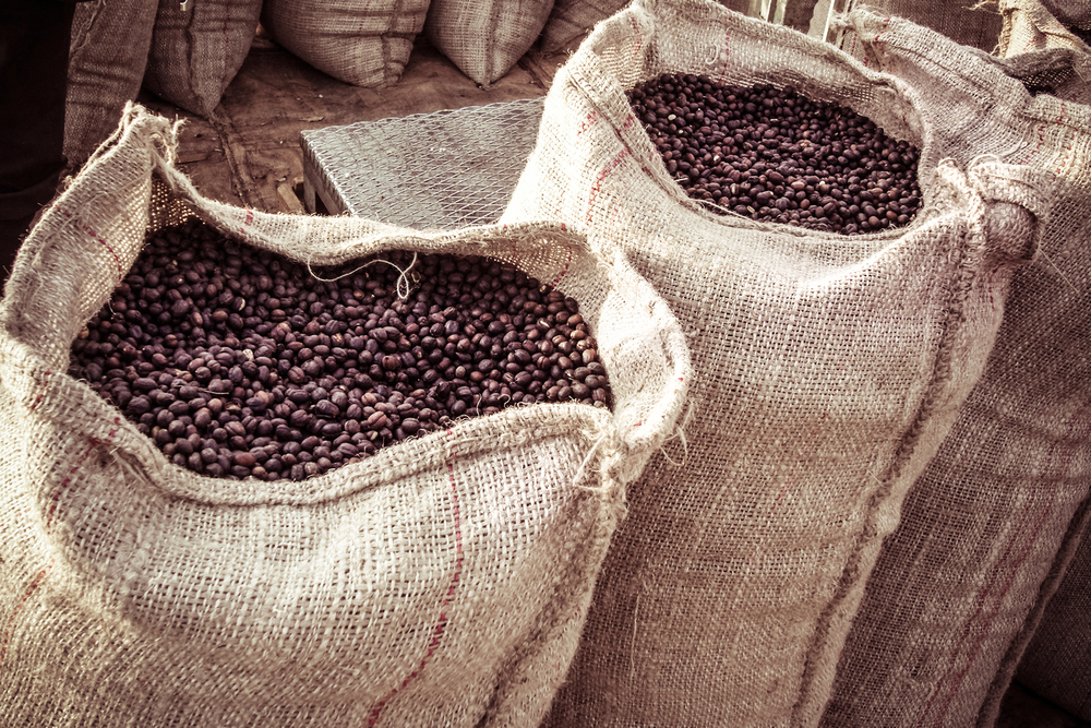 Coffee Tours In Uganda