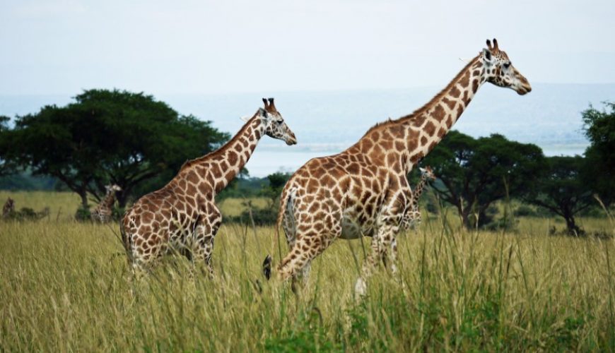 Uganda Tourism Destinations