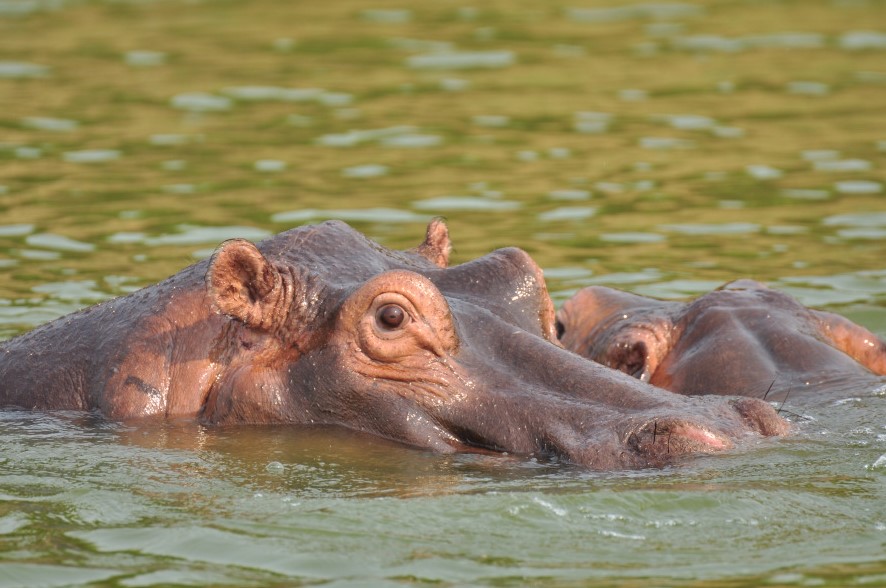 Uganda Tourism Destinations