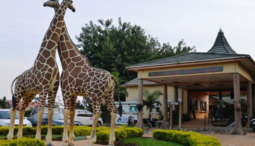 Uganda Wildlife Education Center