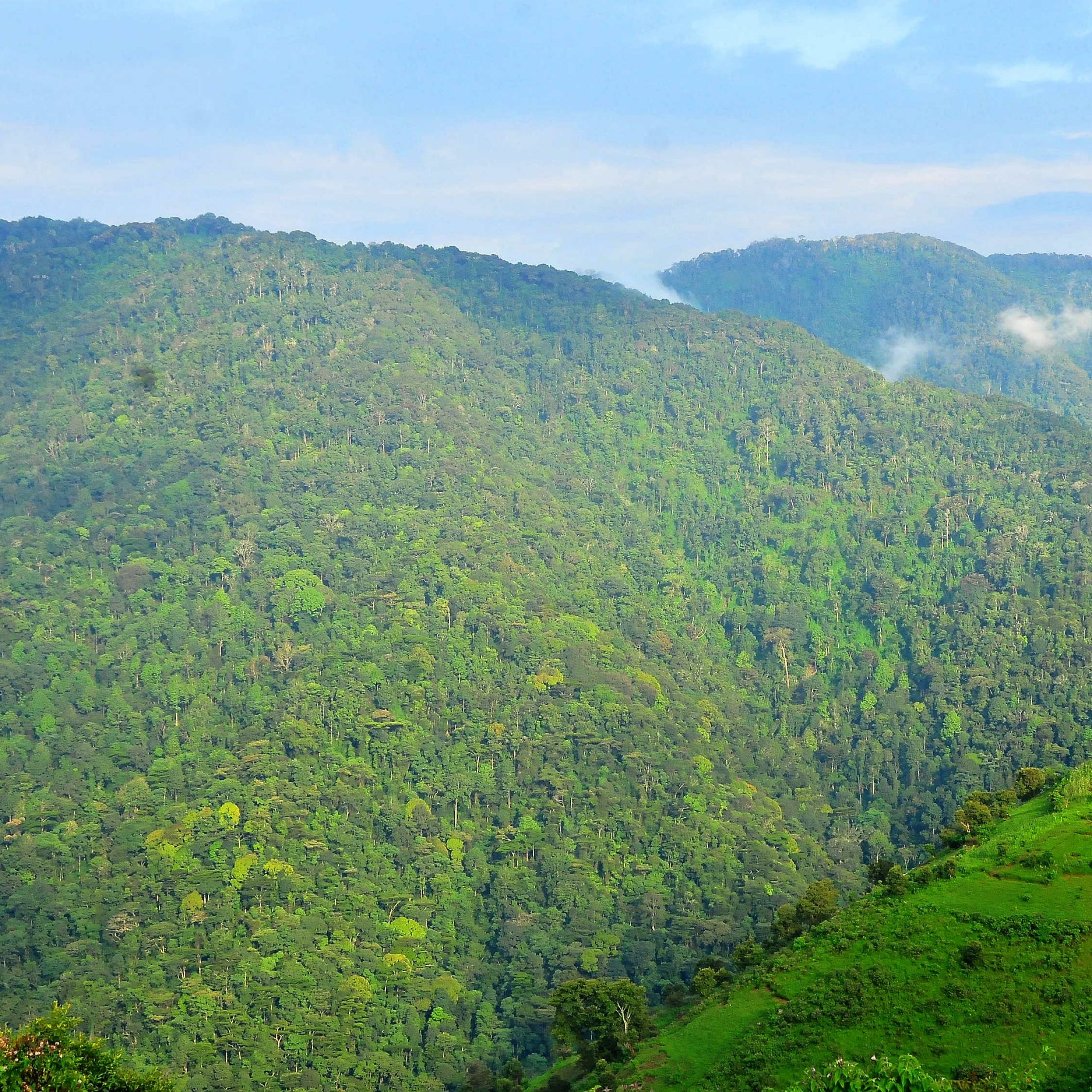 The Climate of Uganda: A Diverse and Unique Environmental Tapestry