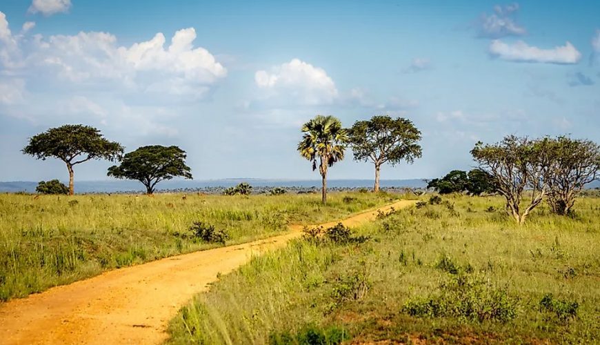 The Climate of Uganda: A Diverse and Unique Environmental Tapestry