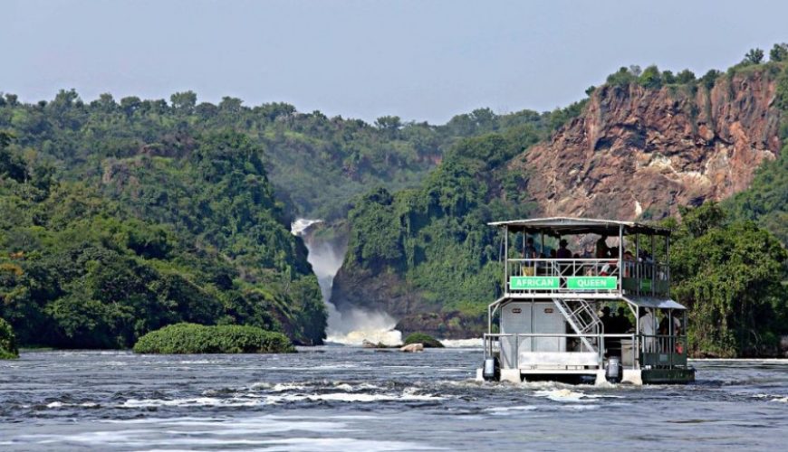 Cruising Safaris for Unforgettable Adventures