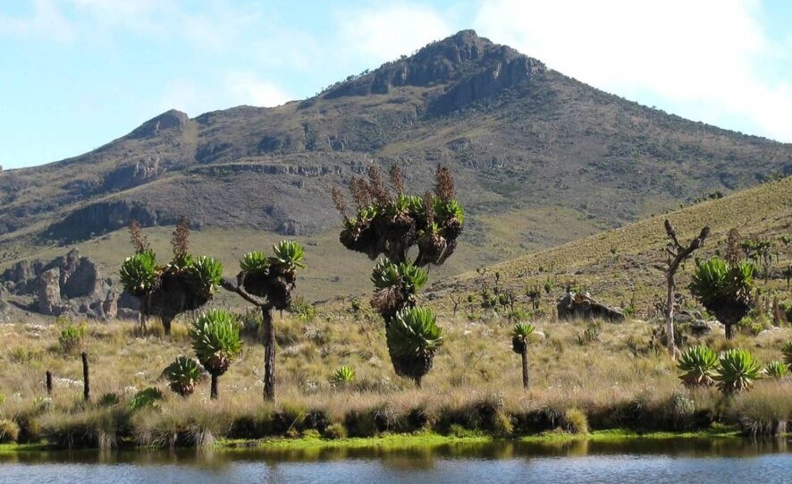 Mount Elgon: A Majestic Natural Wonder