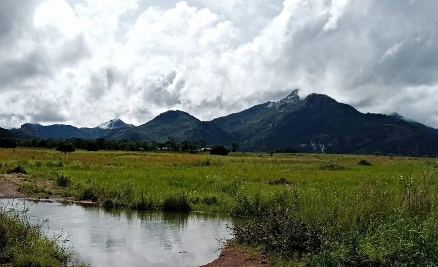 Wetlands in Uganda: Biodiversity Hotspots and Ecosystem Services