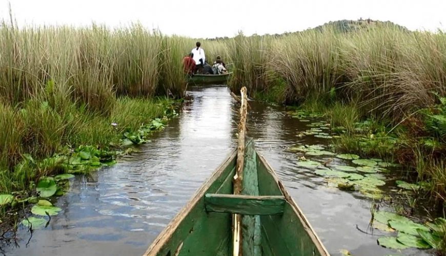 Wetlands in Uganda: Biodiversity Hotspots and Ecosystem Services