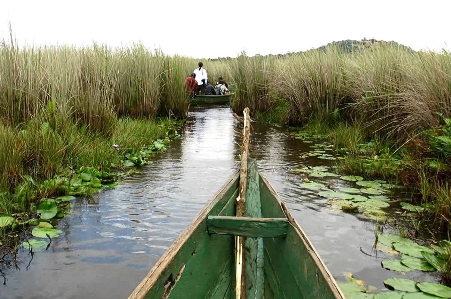 Wetlands in Uganda: Biodiversity Hotspots and Ecosystem Services