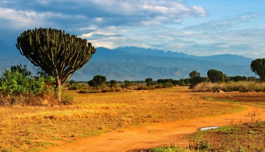 Uganda's Savannah: A Natural Wonder