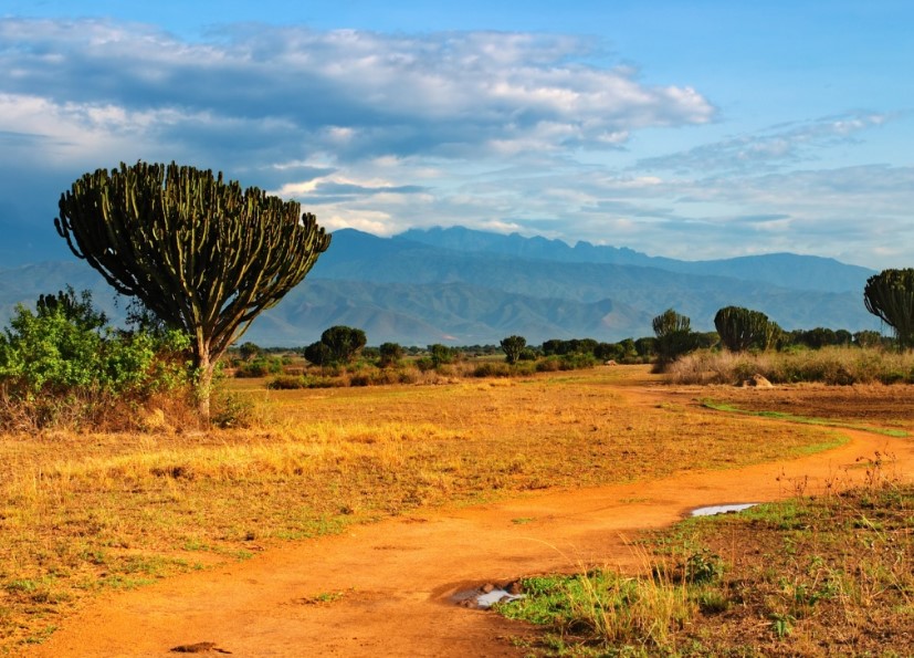 Uganda's Savannah: A Natural Wonder